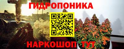 ГАЛЛЮЦИНОГЕННЫЕ ГРИБЫ Гусев