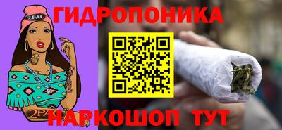 ГАЛЛЮЦИНОГЕННЫЕ ГРИБЫ Гусев