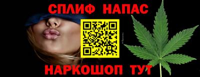 spice Гусиноозёрск