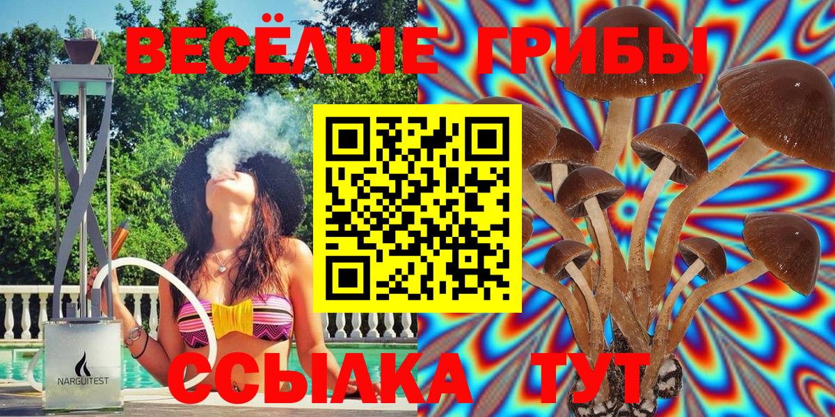 Галлюциногенные грибы Cubensis Кемерово