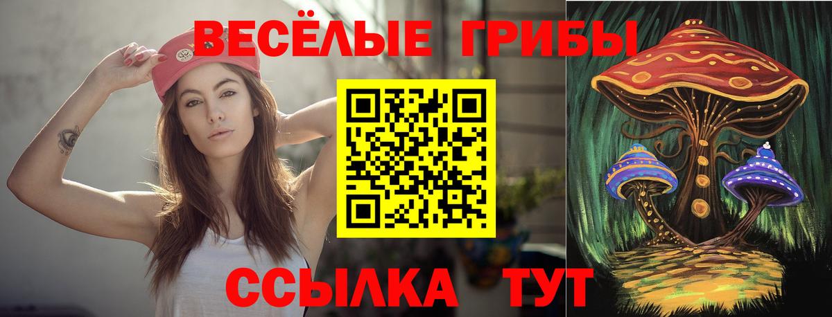 Псилоцибиновые грибы MAGIC MUSHROOMS  Вход с VPN  Кемерово 